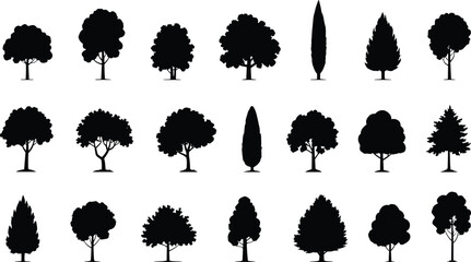 Extensive Tree Silhouette Vector Set, Variety of Deciduous and Coniferous Plants for Architectural Landscape and Park Planning Graphics © Md Rofequl Islam