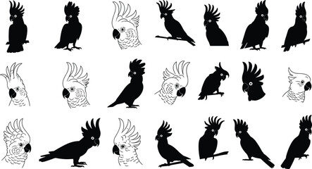 Large Cockatoo Birds Silhouette Vector Set, Exotic Parrot Head and Full Body Icons for Tropical Wildlife Design