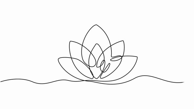 Lotus flower continuous one line drawing. Wellness concept in simple linear style. Continuous one line drawing of a lotus bud on white background, full length animation video, motion graphic.