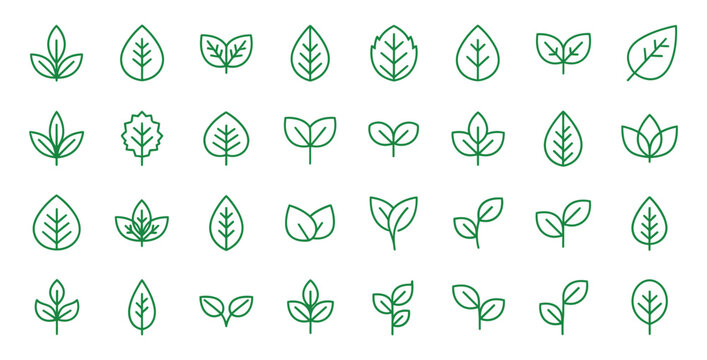 Collection of various green leaf icons representing nature and plant life on white background