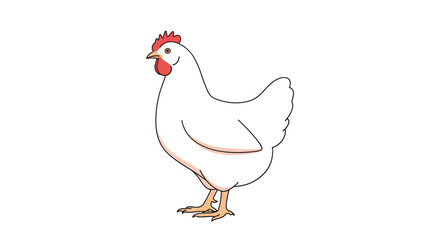 Fototapeta premium Simple and clean line art illustration of a white hen standing in profile view isolated on a plain white background.