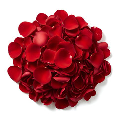 Pile of Red Rose Petals