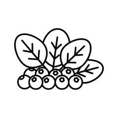 Minimalist outline icon of fresh blueberries with green leaves, perfect for health, food, and natural product designs.