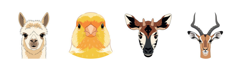 Naklejka premium Alpaca, chick, okapi, and gazelle illustrated animal portraits