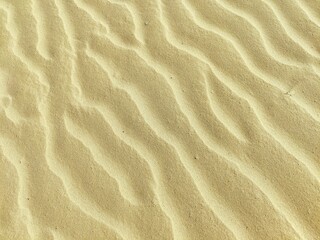 background of sand shaped by the wind