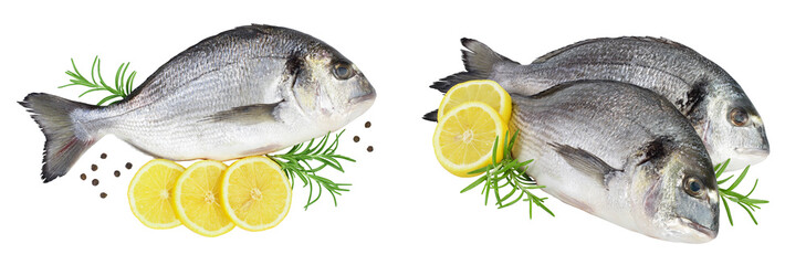 Fish dorado isolated on white background with full depth of field. Top view. Flat lay