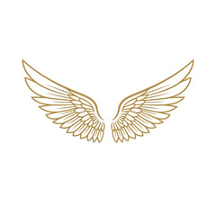 Fototapeta premium Elegant Golden Wings Illustration on White Background.