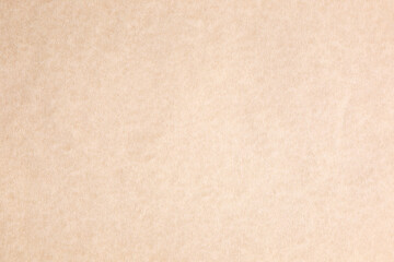 Brown grunge wallpaper backdrop with subtle texture