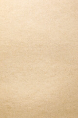 Fototapeta premium Vertical wallpaper kraft paper surface texture