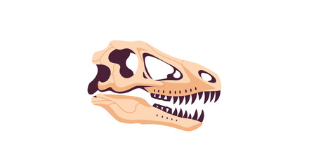 Tyrannosaurus Rex Skull Fossil Illustration on White Background.
