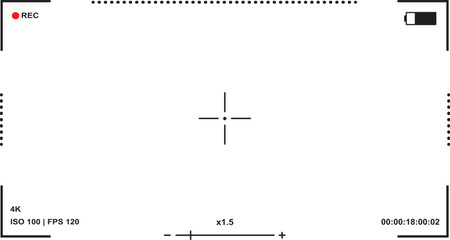 Camera viewfinder overlay. Video camera viewfinder on isolated background