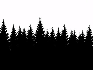 Fototapeta premium Enchanting silhouette of evergreen trees, perfect for winter designs and nature-themed projects, lending a touch of serene forest atmosphere to your creative work