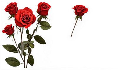 Rosas rojas frescas con tallo y hojas sobre fondo transparente