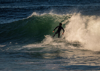 Fototapeta premium A surfer in a wetsuit riding a wave