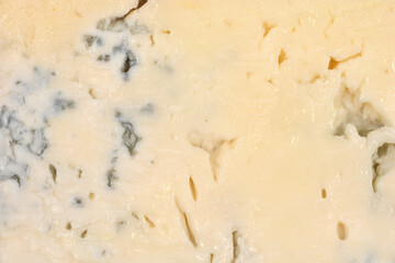 An extreme close-up of a block of creamy Gorgonzola cheese, showing its pale yellow interior and distinct pockets of blue-green mold veining and texture