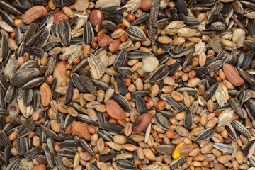 A detailed, full-frame shot of a mixed blend of seeds, including sunflower seeds, peanuts, and various grains, used for feeding birds