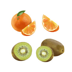 Realistic Tropical  Fruits Set Illustration