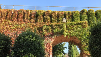 muro e portone coperto di vite colorata