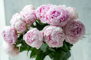 Soft pink peonies in a glass vase