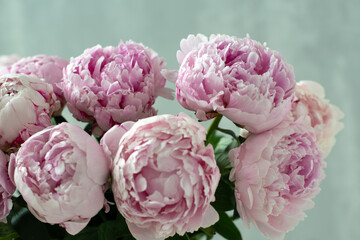 Soft pink peonies in a glass vase