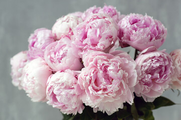 Fototapeta premium Soft pink peonies in a glass vase