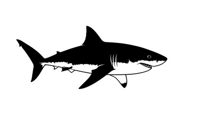 Fototapeta premium Shark Silhouette Vector – Black and White Predatory Fish Illustration