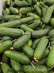 Fresh green cucumbers piled together, showcasing their smooth skin and vibrant color. Ideal for salads and healthy dishes.