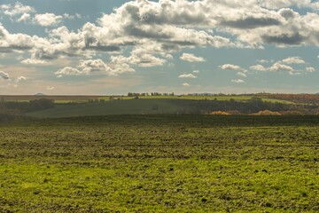 An autumn landscape of a harvested field in southern Russia in early November