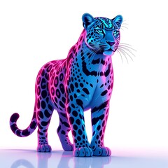 leopard on white background