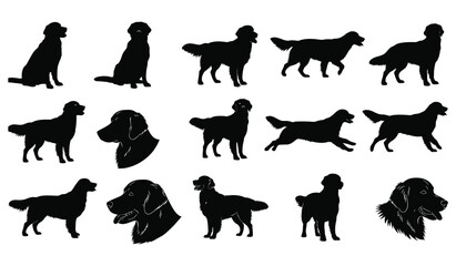 Golden retriever dog silhouettes set: various poses, actions, isolated Vector