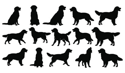 Golden retriever dog silhouettes in various poses on white background Vector