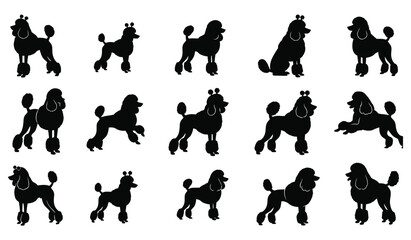 Set of diverse poodle silhouettes in various poses, dog breed vector icons Vector