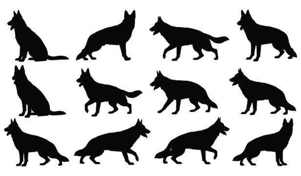 German shepherd dog silhouettes in various poses on white background Vector