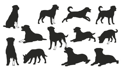 Dog silhouettes in various dynamic poses and actions set vector Vector