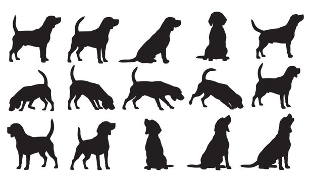 Beagle dog silhouettes in various positions and actions. vector set. Vector