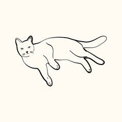 Whimsical doodle cat pose vector illustration. Cute kitten, hand drawn linear cat in different poses sitting, lying down, sleeping