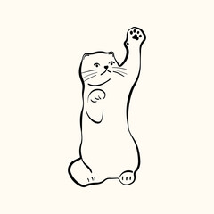 Whimsical doodle cat pose vector illustration. Cute kitten, hand drawn linear cat in different poses sitting, lying down, sleeping