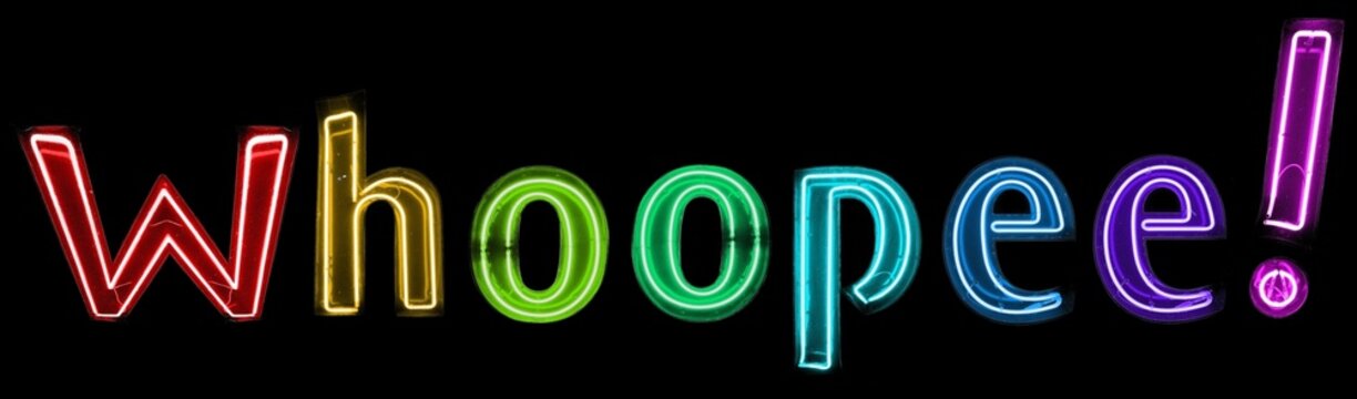 Whoopee! multicolored neon lights