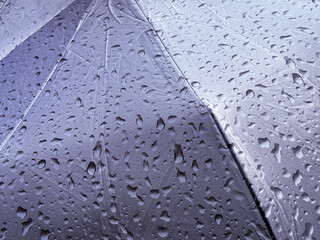 Wet umbrella in rain drops.