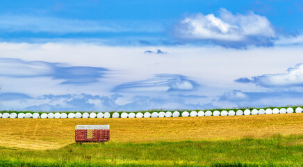 Hay wagon Farm trailer in the field with white wrapped bales of hay across the horizon.