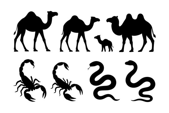 Silhouettes of camels, scorpions, and snakes in various poses.