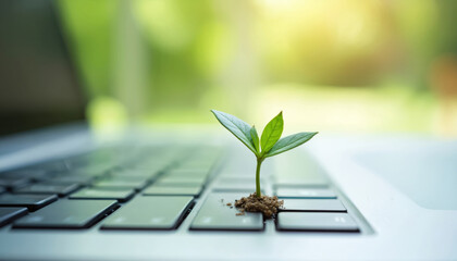 Small green sprout emerges from laptop keyboard. Symbol of tech growth and eco innovation. Represents new life, development, and future sustainability. Natural plant sprouts from computer keys.