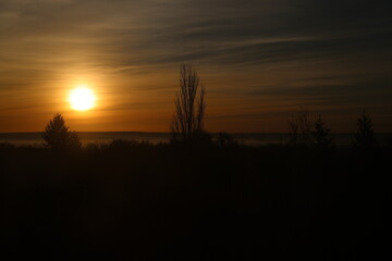 Golden Sunrise Over a Silhouetted Forest Landscape