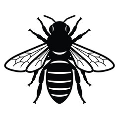 Honey Bee Top View Silhouette Vector, Insect Icon Illustration