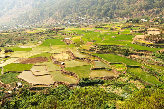 View over the Kapay-Aw rice terraces outside of Sagada, Luzon, Philippines