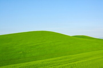 Fototapeta premium Lush Green Rolling Hills Under a Clear Blue Sky