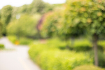 Blurred Green Park Background with Bokeh