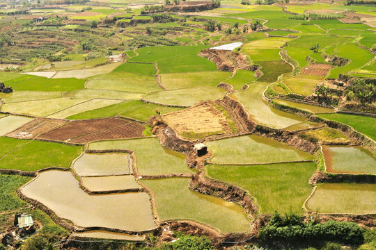 The Kapay-Aw rice terraces outside of Sagada, Luzon, Philippines