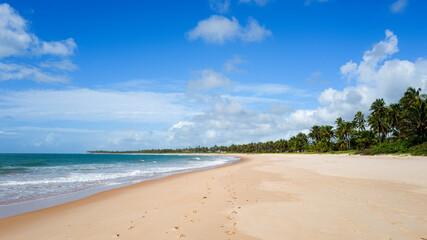 Guarajuba beach at coconut trees coast, Bahia, Brazil, 