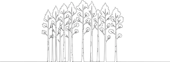 Minimalist Poplar Tree Forest Line Art